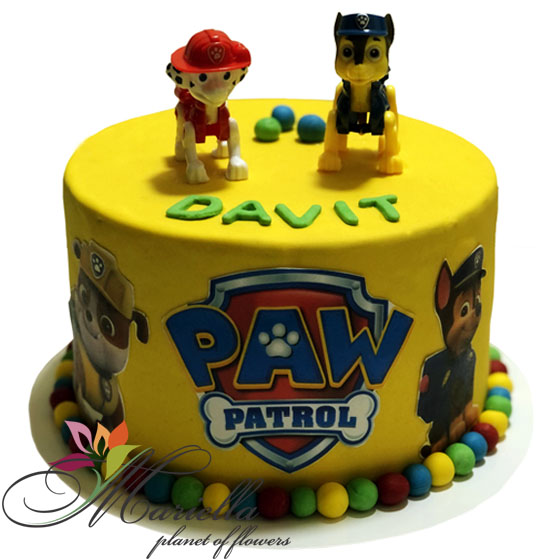 Cake 1183