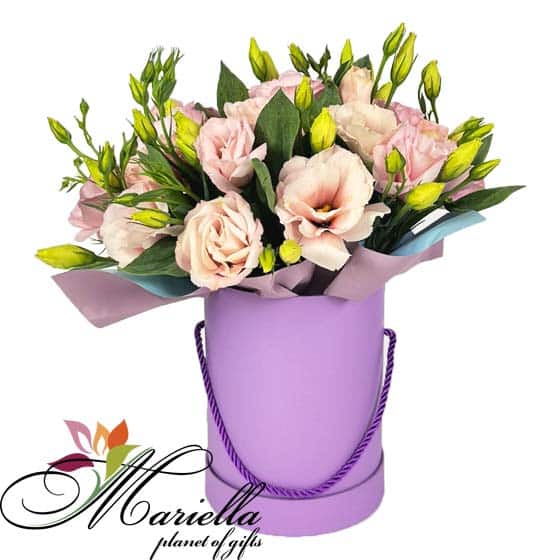 Композиция  0491