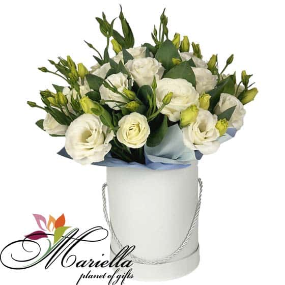 Композиция  0498