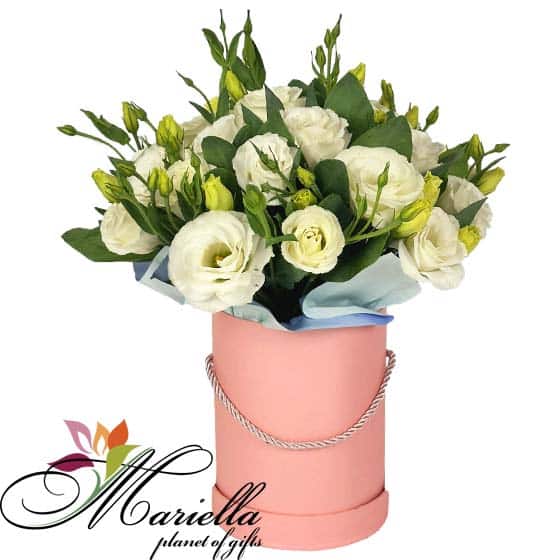 Композиция  0499