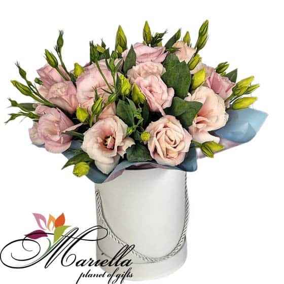 ԿՈՄՊՈԶԻՑԻԱ 0493