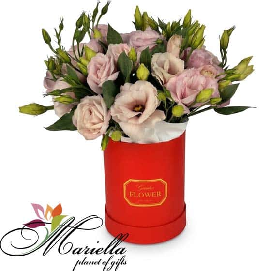 ԿՈՄՊՈԶԻՑԻԱ 0495