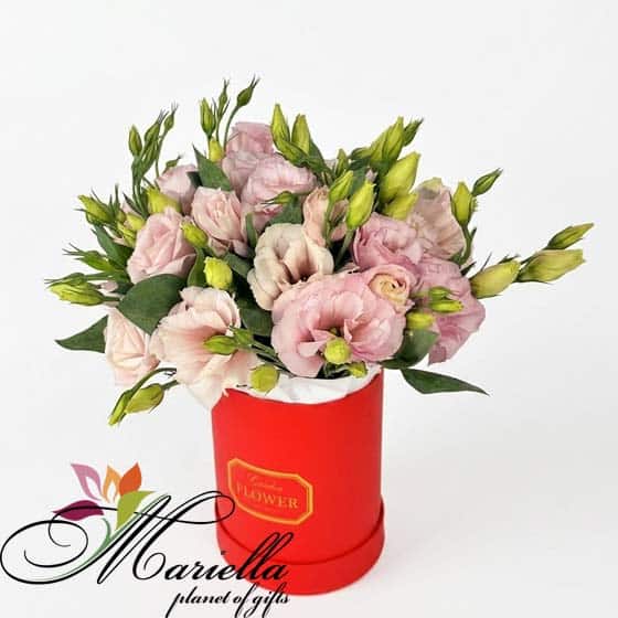 ԿՈՄՊՈԶԻՑԻԱ 0495