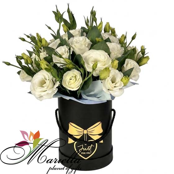 ԿՈՄՊՈԶԻՑԻԱ 0496