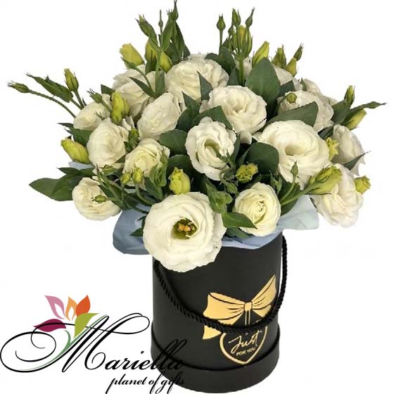 ԿՈՄՊՈԶԻՑԻԱ 0496